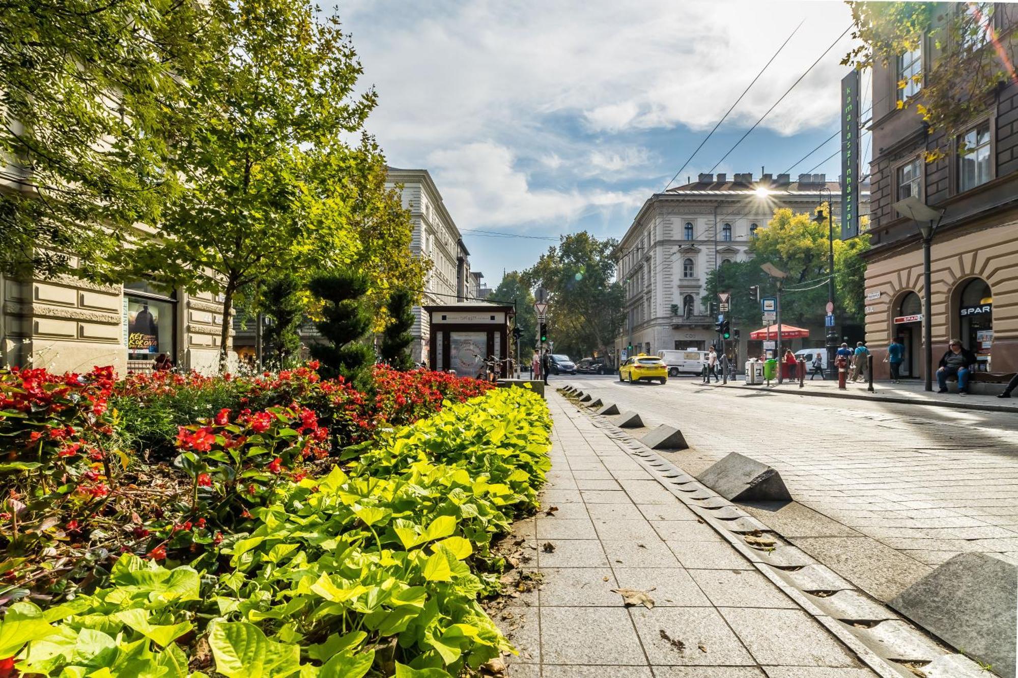 Cozy Little Flat In The City Center 부다페스트 외부 사진
